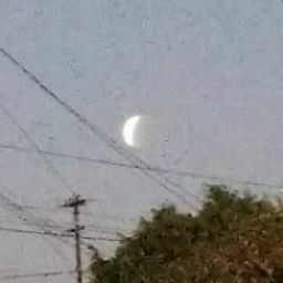 Chris Navarrette Photo 5