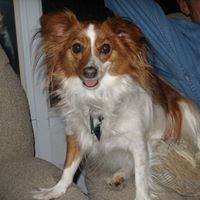 Diane Rowland Photo 24