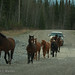 Kathy Mckay Photo 39