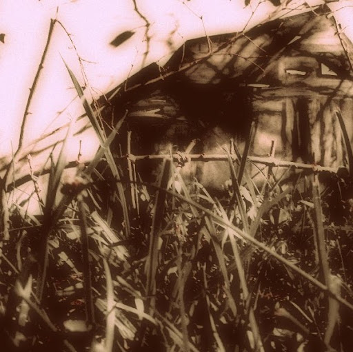 Judy Jackson Photo 36