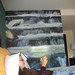 Heather Costa Photo 8