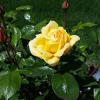 Donna Painter Photo 18