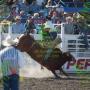 Jimmy Crosby Photo 23