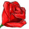 Kamal Zafar Photo 12