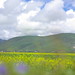 Xiang Li Photo 43