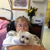 Cheryl Joyner Photo 24