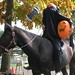 Susan Steed Photo 11