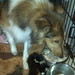 Bobbi Cook Photo 24