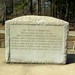Mark Mills Photo 48