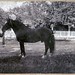 Robert Glenn Photo 47