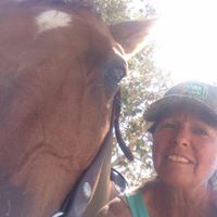 Dianne Millard Photo 7