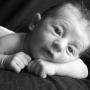 Nicole Hoff Photo 24