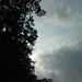 Dennis Strom Photo 11