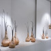 Cynthia Ferro Photo 11