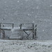 Cynthia Hutto Photo 18