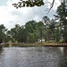 Harvey Reed Photo 13