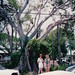 Darlene Keys Photo 23