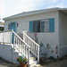 Ellen Carp Photo 7
