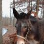 Judy Adkins Photo 28