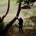 Theresa Groves Photo 17