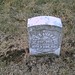 Patrick Cavanaugh Photo 29