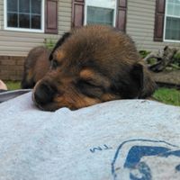 Debra Lovelady Photo 2