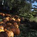 Autumn Davidson Photo 32
