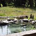 Jerry Meadows Photo 11