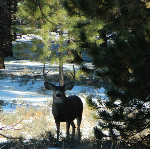 Mike Palmer Photo 2