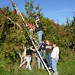 Sue Bowman Photo 23