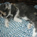 Elizabeth Gabriel Photo 11