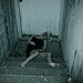 Tara Gross Photo 6