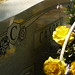 Cason Stone Photo 3