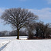 Dave Hedges Photo 16