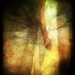 Linda Wend Photo 6