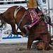 Brenda Enochs Photo 7