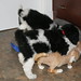 Rex Briggs Photo 7