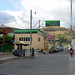 Rafael Flores Photo 39