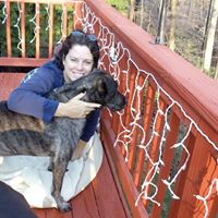 Tracey Freeman Photo 11