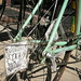 Ann Bianchi Photo 11
