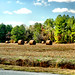 Donald Hays Photo 15