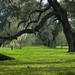 Phillip Gould Photo 11