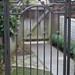 Kerri Gates Photo 10