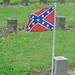 Randal Lee Photo 17