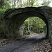 Troy Bridges Photo 8