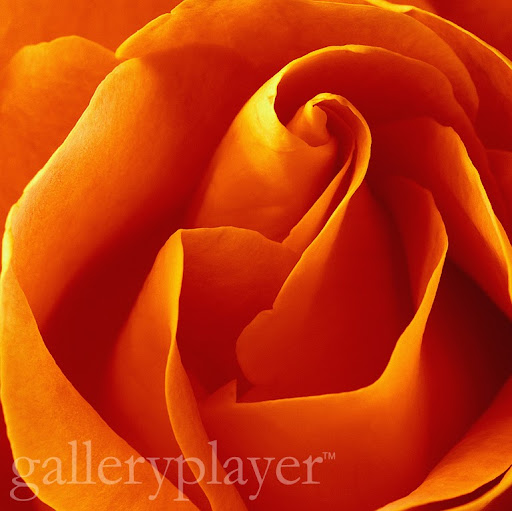 Debra Watson Photo 26
