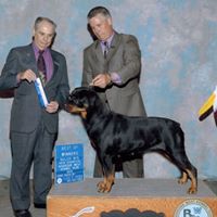 Deborah Fontenot Photo 20
