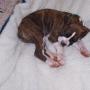 Kim Easterling Photo 18
