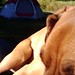 Amy Faulkner Photo 23