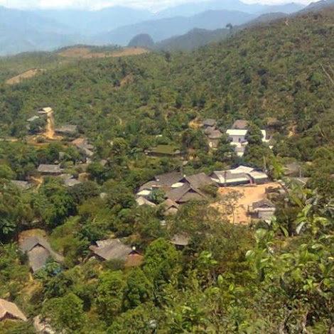 Long Vang Photo 12